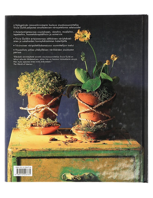 Väriä sisustukseen - Guild, Tricia - Tietokirjat ja oppaat - 10105423288 - 1