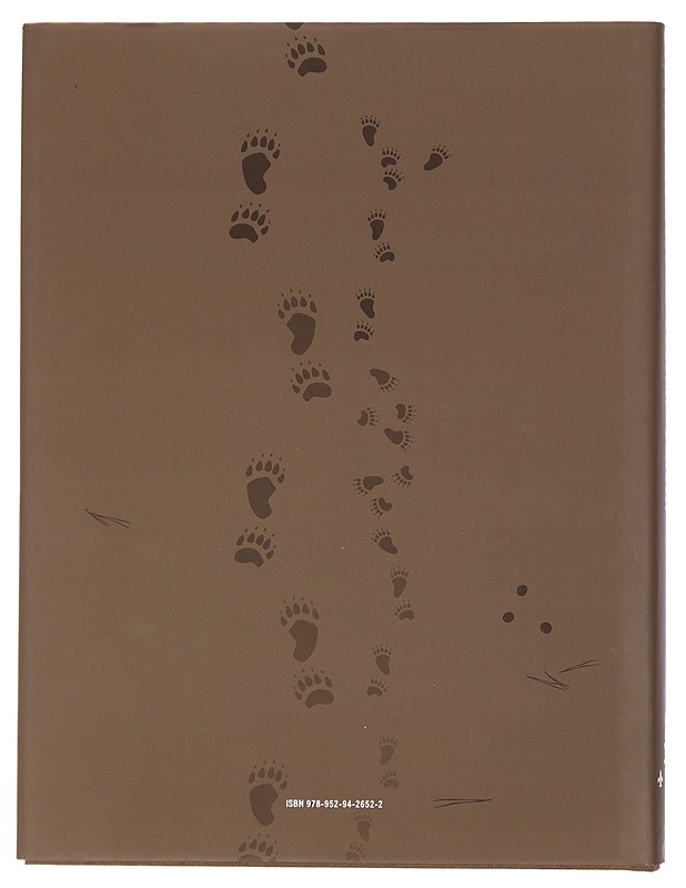 Sata vuotta omia polkuja : Helsingin Metsänkävijät 1917-2017 - Aalto-Setälä, Mika - Historiakirjat - 10105423678 - 1