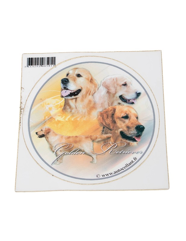 Koiratarra Golden Retriever - Askartelu - 10105423847 - 0