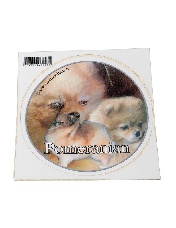 Koiratarra Pomeranian - Askartelu - 10105423854 - 0