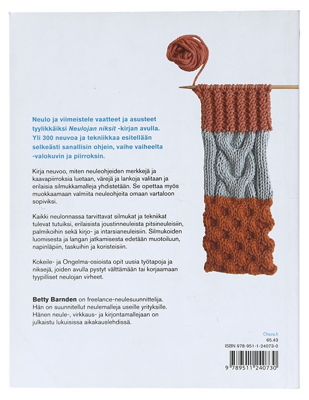 Neulojan niksit - Barnden, Betty - Tietokirjat ja oppaat - 10105423885 - 1