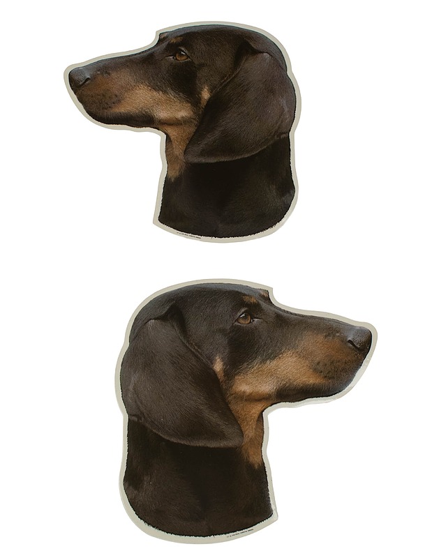 WORLD STICKERS kaksipuoleinen koiratarra, 2 kpl - Askartelu - 10105424086 - 0