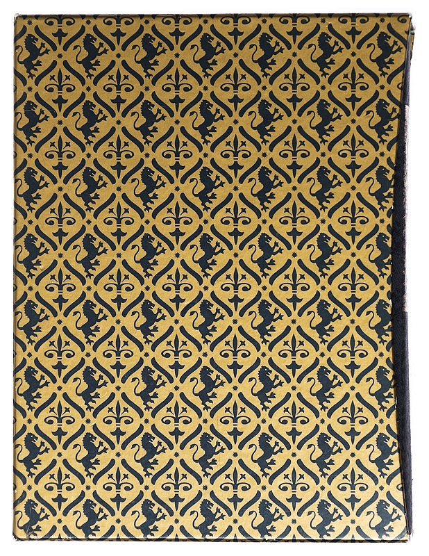 The Rise and Fall of the House of Medici - Christopher Hibbert - Historiakirjat - 10105424184 - 0