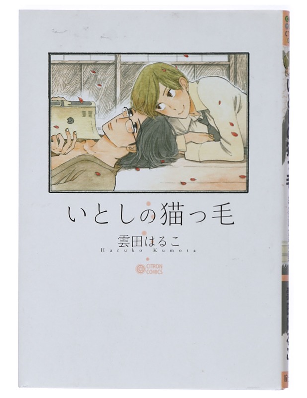 Itoshi no Nekokke - Haruko Kumota - K-18 - Sarjakuvat - 10105424196 - 0