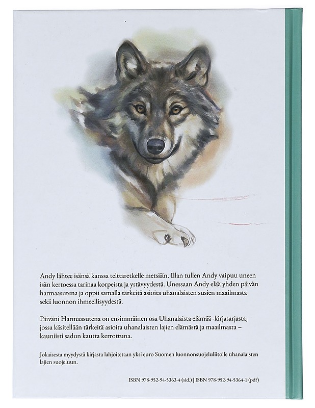 Päiväni harmaasutena - Matero, Janika - Lastenkirjat - 10105424701 - 1