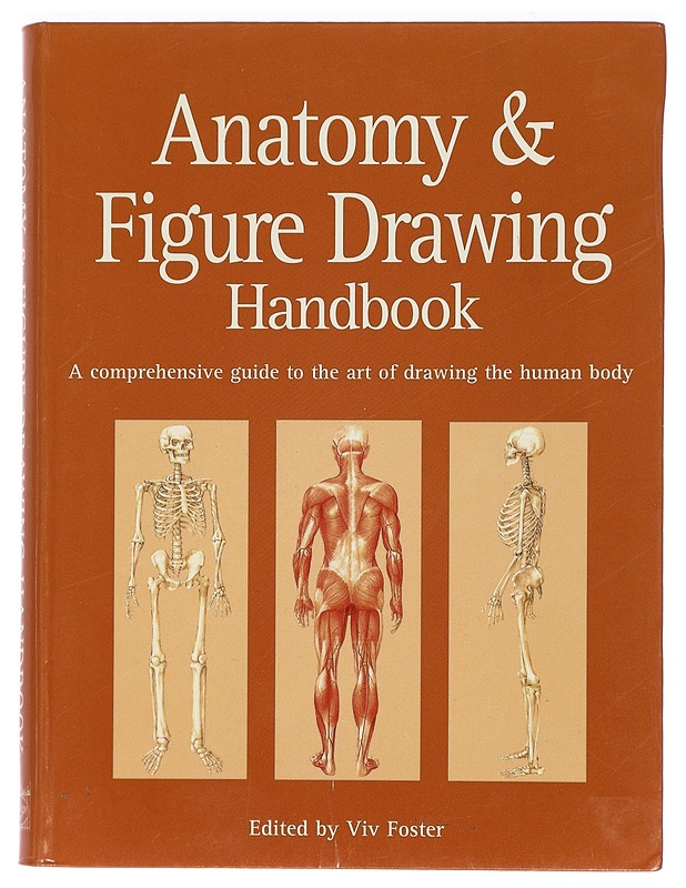 Anatomy & figure drawing handbook - Foster, Viv - Harrastekirjat - 10105424884 - 0