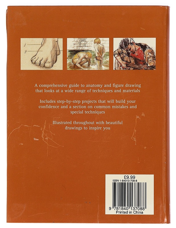 Anatomy & figure drawing handbook - Foster, Viv - Harrastekirjat - 10105424884 - 1