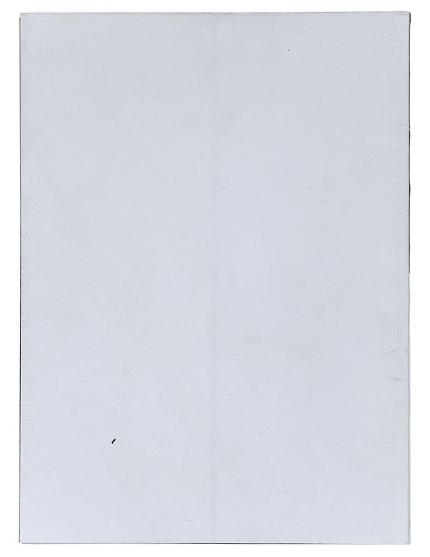 Leena Luostarinen : vuoden taiteilija - Sarje, Kimmo - Tietokirjat ja oppaat - 10105425018 - 1