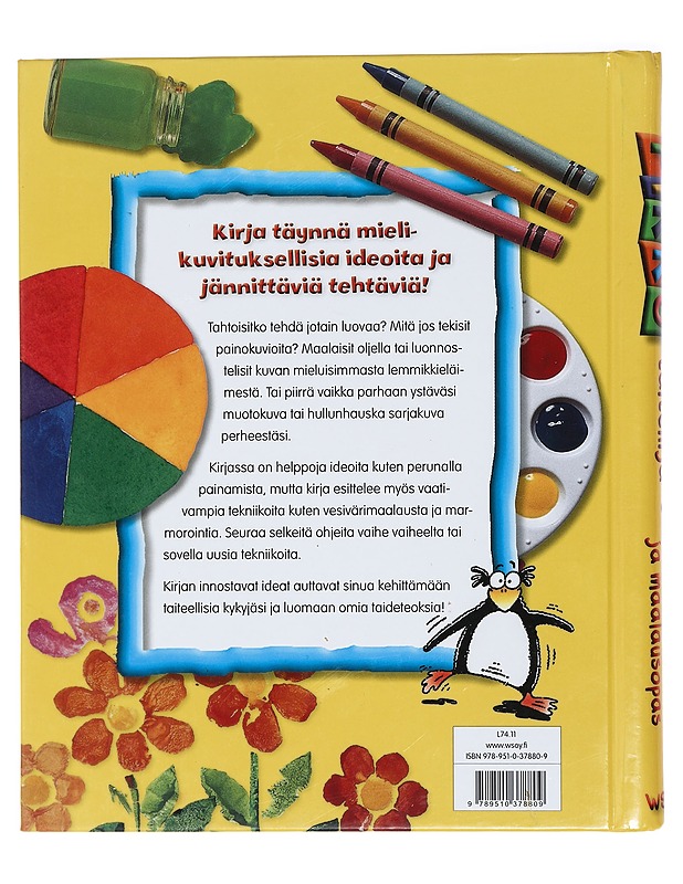 Pikku taiteilija : suuri piirustus- ja maalausopas - Sue Nicholson, Deri Robins - Lastenkirjat - 10105425124 - 1