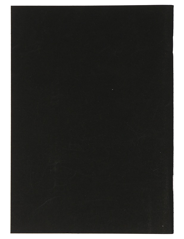 Kung-fu. Salainen kiinalainen itsepuolustusmenetelmä - Harrastekirjat - 10105425264 - 1