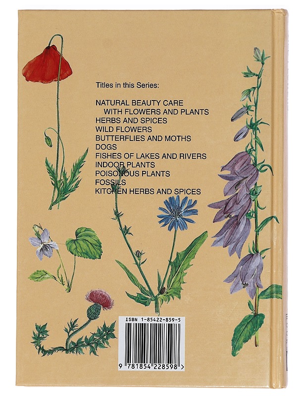 Wildflowers : of field and woodland - V?tvi?ka, Václav - Harrastekirjat - 10105425531 - 1