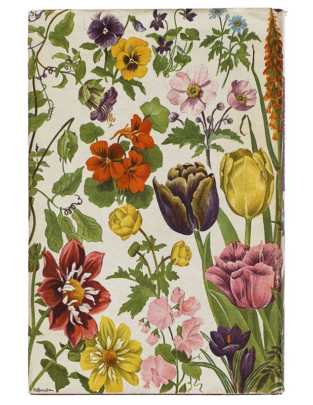 Puutarhakasveja - Leif Simberg - Lemmikki- ja luontokirjat - 10105425556 - 1