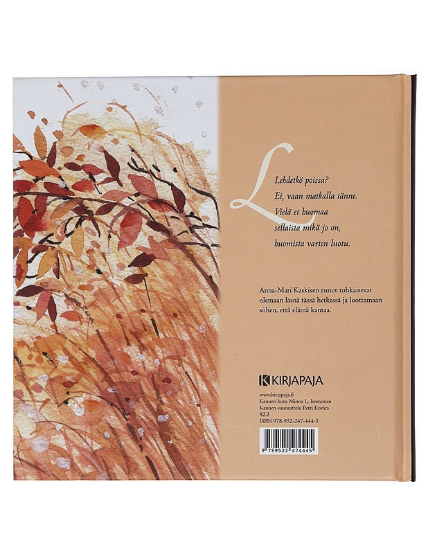 Olemisen onnea - Kaskinen, Anna-Mari - Kaunokirjallisuus - 10105425561 - 1