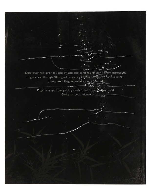 Discover Origami. 40 original projects to build your paper crafting skills - Rick Beech - Harrastekirjat - 10105425592 - 1