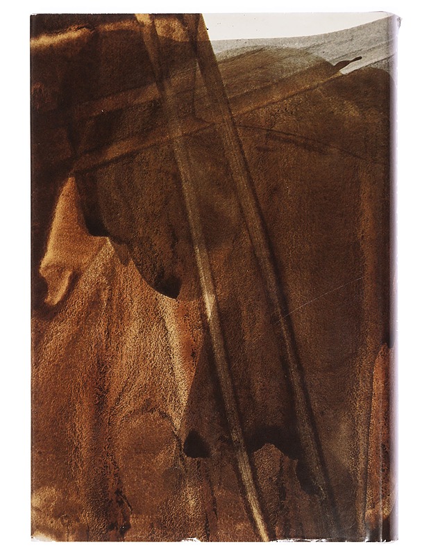 Kootut teokset. 4, Rippi : erään minän elämää - Sillanpää, F. E. - Romaanit ja novellit - 10105425674 - 1