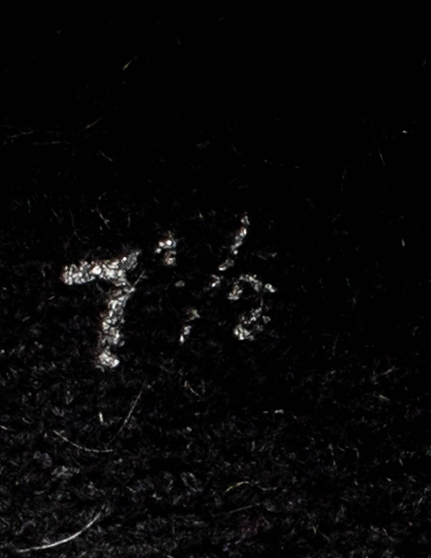 BLOCH tanssikengät, 41 - Miesten kengät - 10105425689 - 2