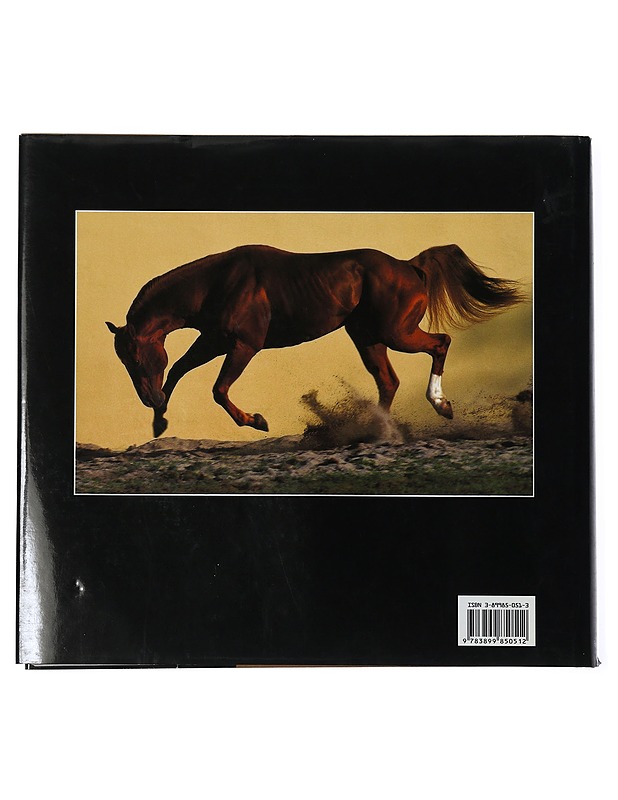 Fascination Horse - Gabrielle Boiselle - Harrastekirjat - 10105425972 - 1