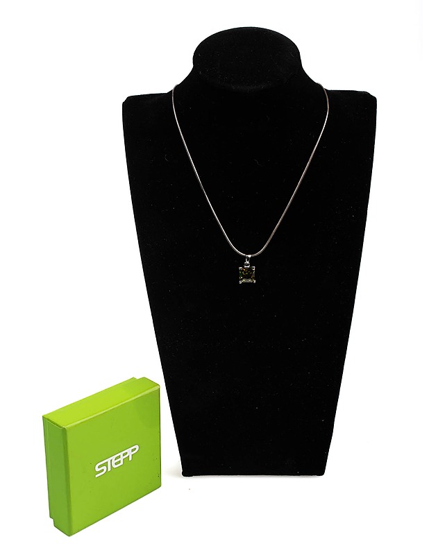 STEPP hopeinen kaulakoru kivellä - Korut - 10105425976 - 0