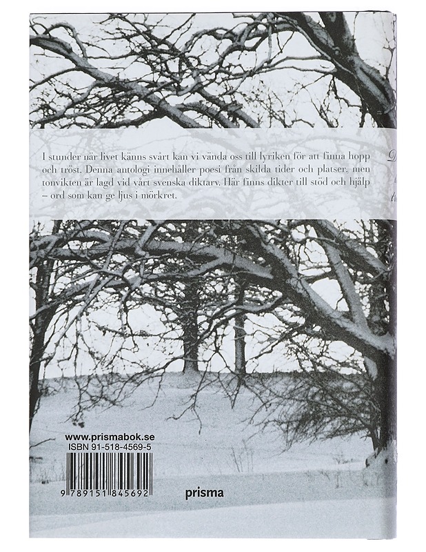 Dikter till tröst - Bennet, Amelie - Romaanit ja novellit - 10105426113 - 1