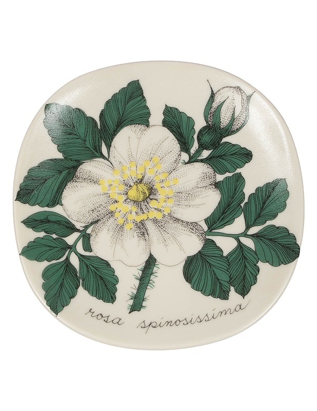 ARABIA Botanica seinälautanen - Designsuosikit - 10105426140 - 0