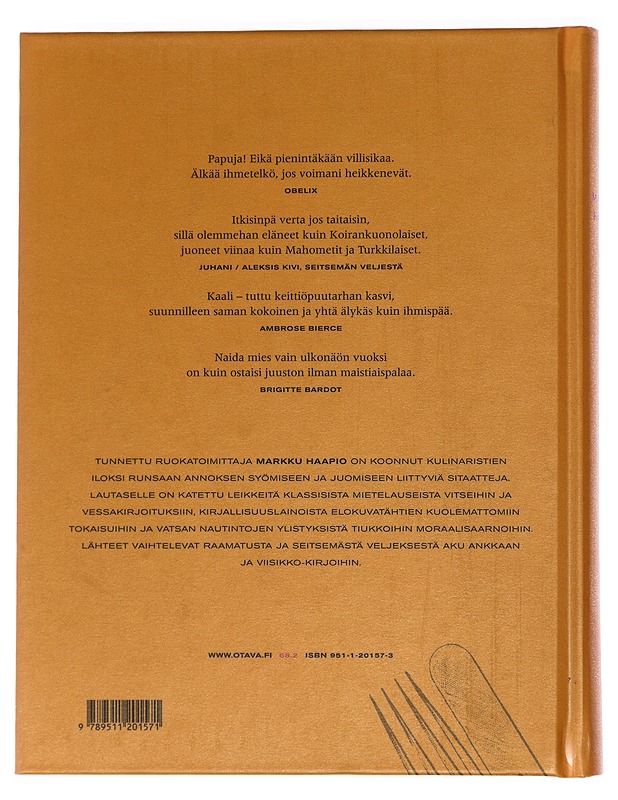 Leikelautanen - Haapio, Markku - Harrastekirjat - 10105426312 - 1