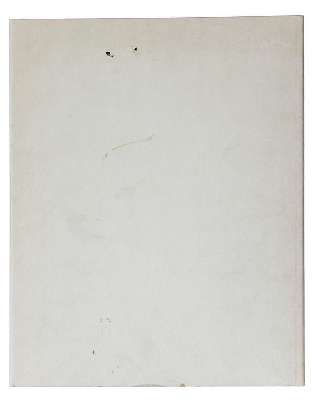 Die Brücke : Zeichnungen, Aquarelle, Druckgraphik aus dem Brücke-Museum Berlin - Taide- ja kulttuurikirjat - 10105426335 - 1