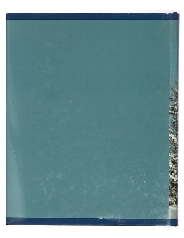 Itsenäisyyden puolustajat. Kynällä, kameralla, kiväärillä - Lehtinen, Lasse - Historiakirjat - 10105426396 - 1