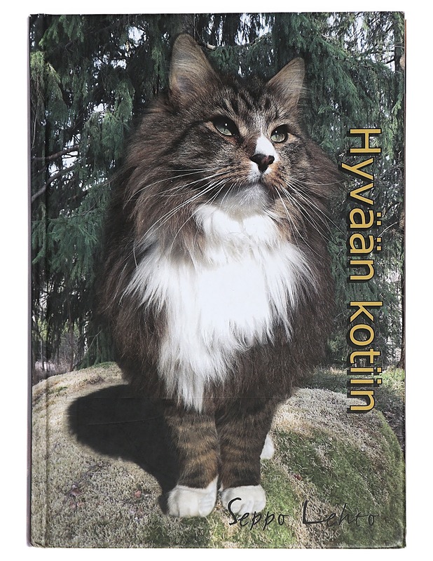 Hyvään kotiin - Lehto, Seppo - Romaanit ja novellit - 10105426409 - 0