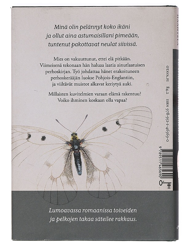 Yö Whistlerin maalauksessa : pienoisromaani - Joel Haahtela - Romaanit ja novellit - 10105426472 - 1