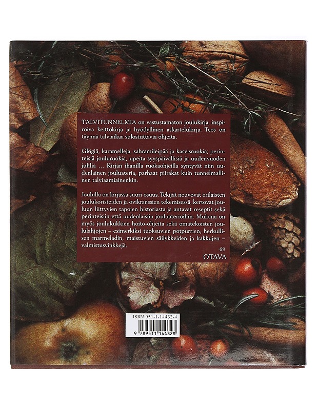 Talvitunnelmia - Bergenström, Anna - Joulukirjat - 10105426489 - 1