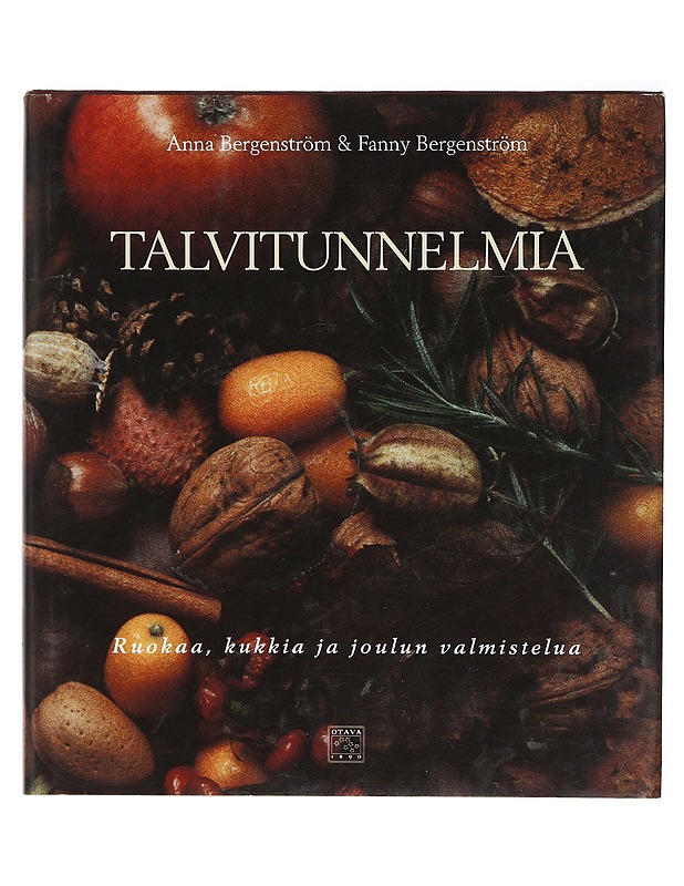 Talvitunnelmia - Bergenström, Anna - Joulukirjat - 10105426491 - 0