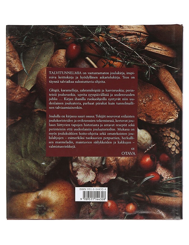 Talvitunnelmia - Bergenström, Anna - Joulukirjat - 10105426491 - 1