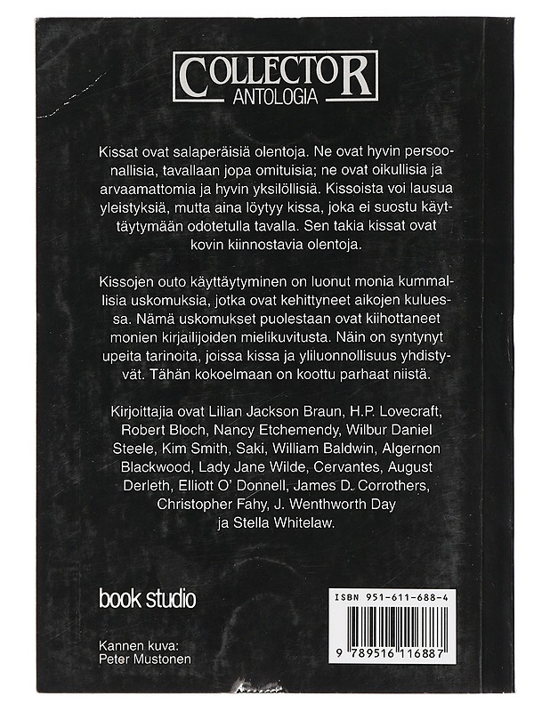 Mystisiä kissatarinoita - Stephens, John Richard - Romaanit ja novellit - 10105426525 - 1