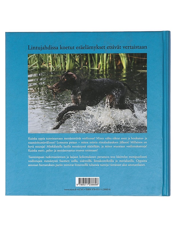 Vesilinnustus - Väänänen, Veli-Matti - Tietokirjat ja oppaat - 10105427179 - 1