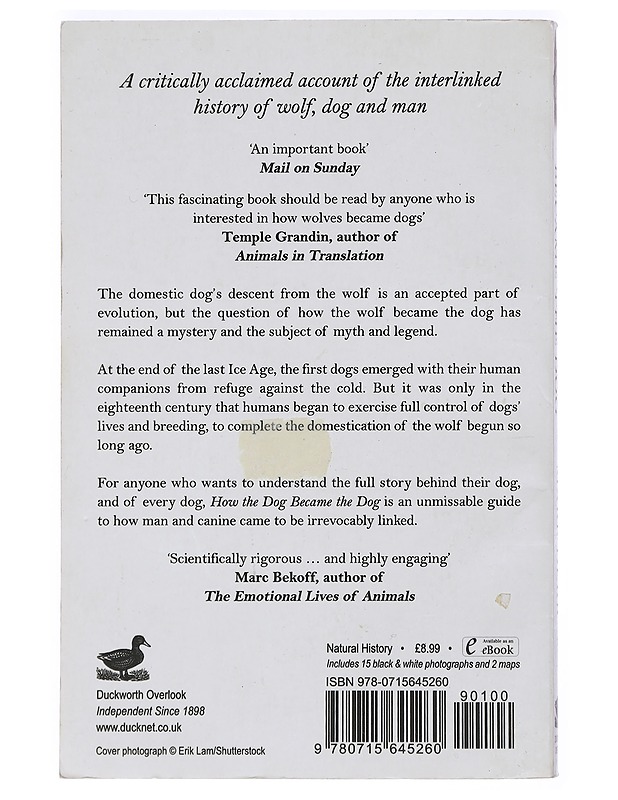 How the dog became the dog : from wolves to our best friends - Mark Derr - Tietokirjat ja oppaat - 10105427556 - 1