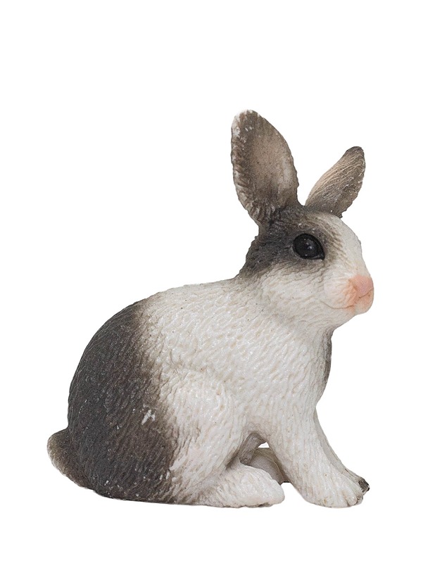 SCHLEICH Farm World 13673 kani - Lasten lelut - 10105427688 - 0