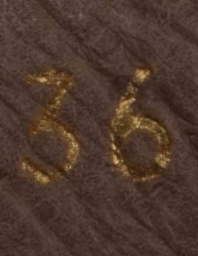 WONDERS nilkkurit, 36 - Naisten nilkkurit ja saappaat - 10105428108 - 1