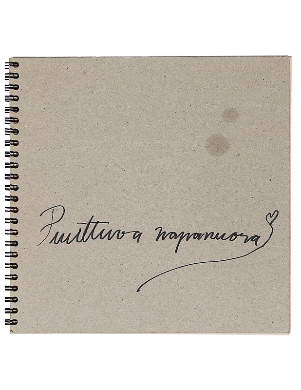 Puuttuva naponuara - Merja Metsänen - Harrastekirjat - 10105428186 - 0