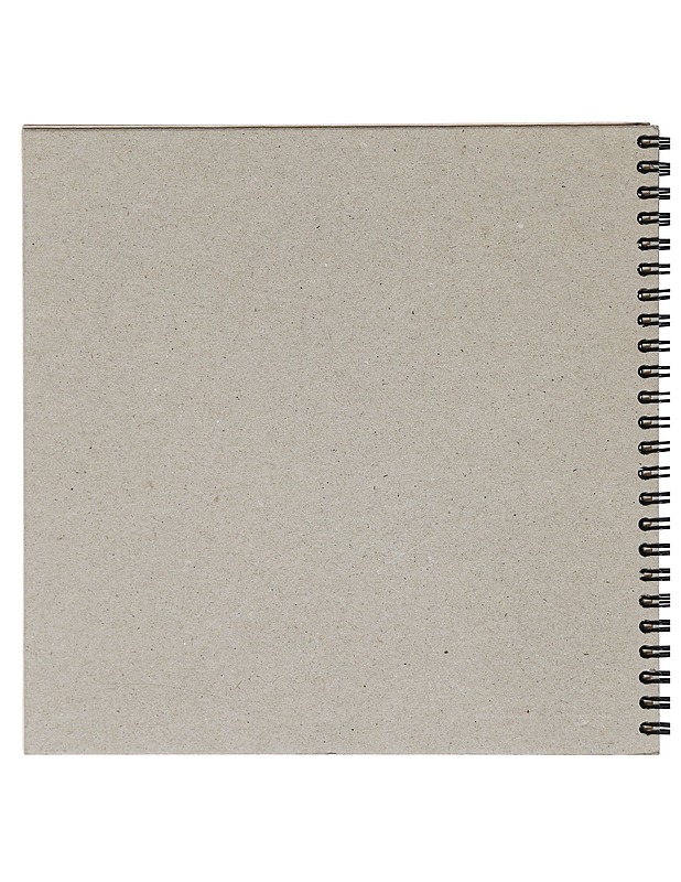 Puuttuva naponuara - Merja Metsänen - Harrastekirjat - 10105428186 - 1