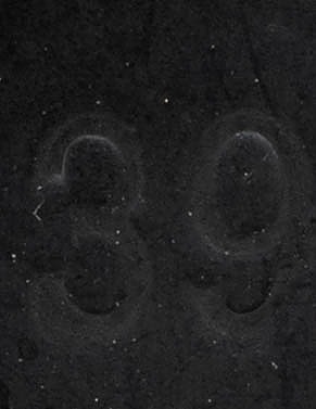 naisten saappaat,  39 - Korkokengät - 10105428496 - 2