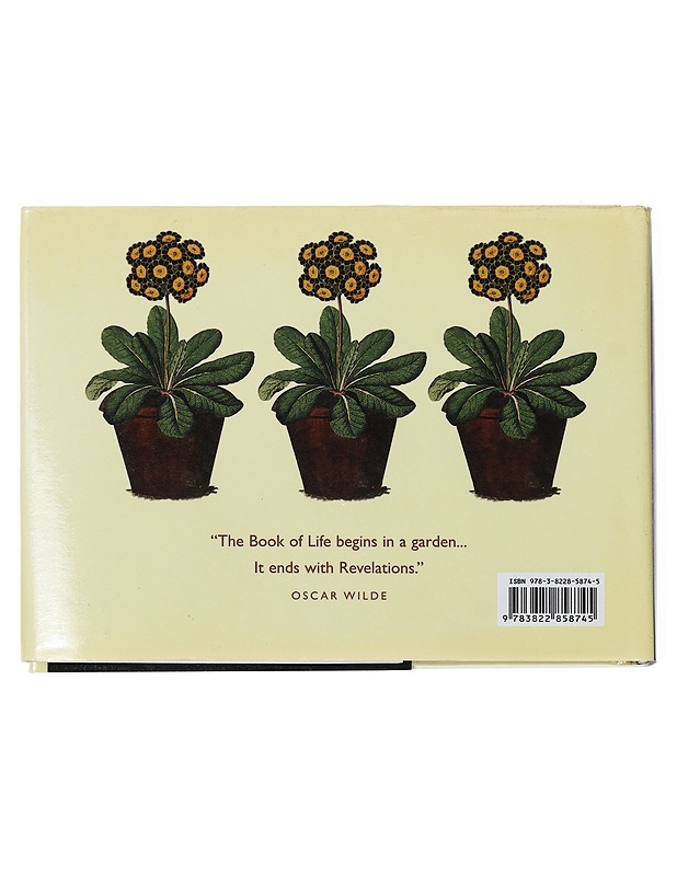 FLORA : GARDENS AND PLANTS IN ART AND LITERATURE - EDWARD LUCIE-SMITH - Taide- ja kulttuurikirjat - 10105429421 - 1