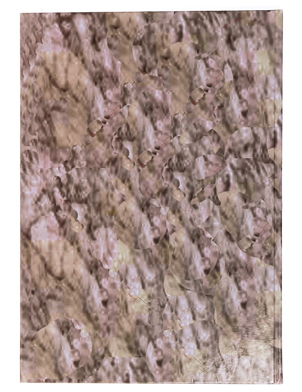 Totta ja tarinaa Jokelasta - Jyrinki, Pentti - Historiakirjat - 10105429431 - 1