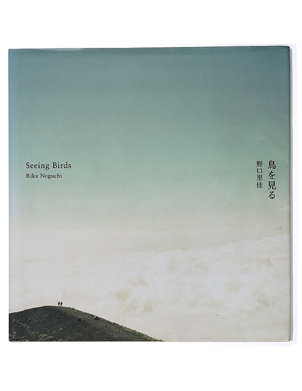 Rika Noguchi : seeing birds - Noguchi, Rika - Taide- ja kulttuurikirjat - 10105429459 - 0