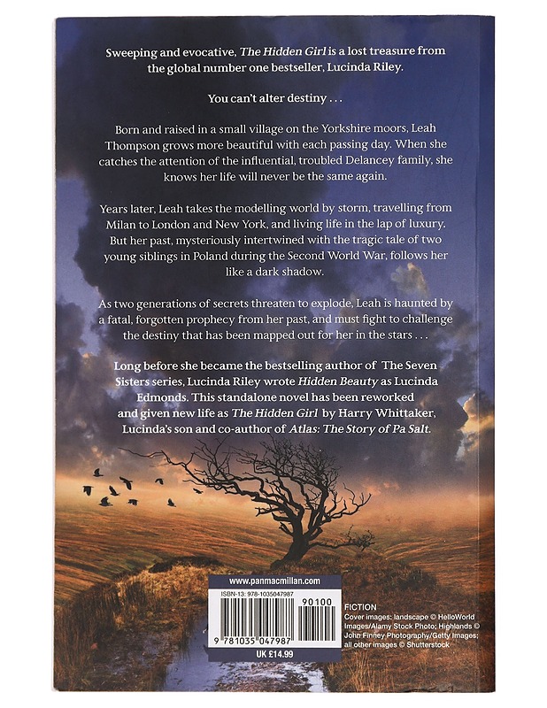 The Hidden Girl - Riley, Lucinda - Romaanit ja novellit - 10105429554 - 1