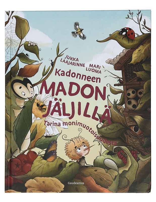 Kadonneen madon jäljillä : tarina monimuotoisuudesta - Laajarinne, Jukka - Lastenkirjat - 10105430245 - 0