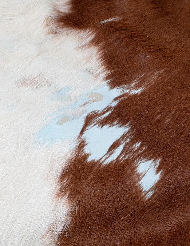 Lehmän nahka - Ompelu - 10105430462 - 1