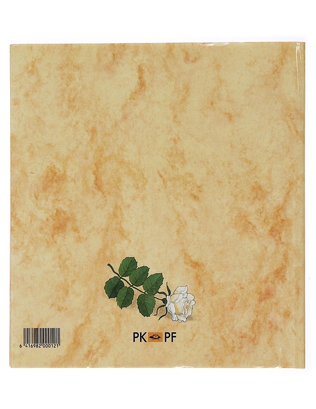 Postimerkki Kuvaa aikaansa 1993 - Harrastekirjat - 10105430877 - 1