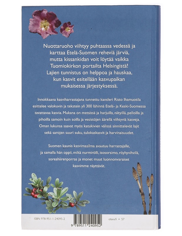 300 kasvia Suomen luonnossa - Risto Ihamuotila - Lemmikki- ja luontokirjat - 10105430888 - 1