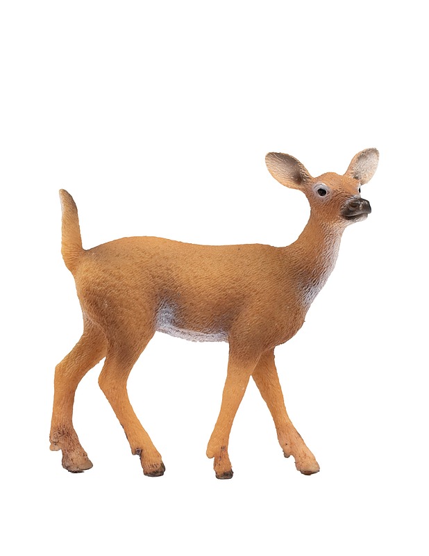 SCHLEICH valkohäntäpeura - Lasten lelut - 10105431247 - 0