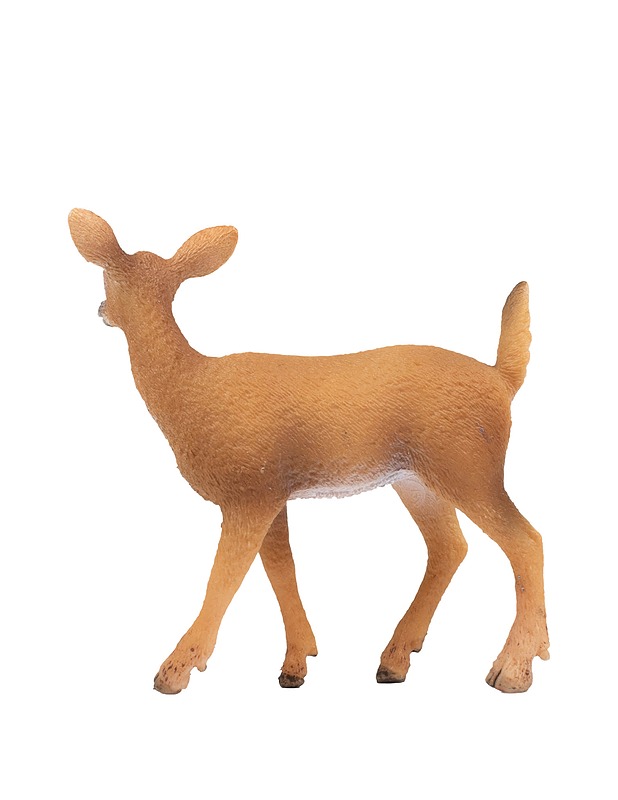 SCHLEICH valkohäntäpeura - Lasten lelut - 10105431247 - 1